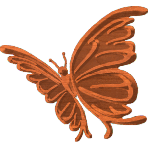 Butterfly-03