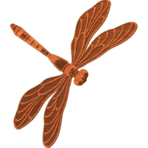 Dragonfly-01