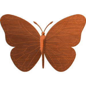 Butterfly-01