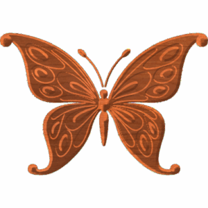 Butterfly-05