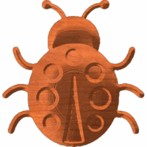 Ladybug-02