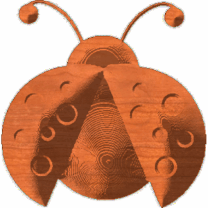 Ladybug-03
