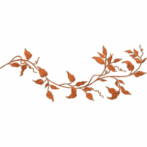 Ivy Vine 2
