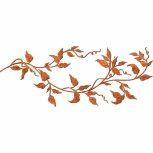 Ivy Vine