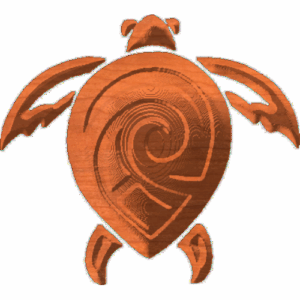 Turtle-02