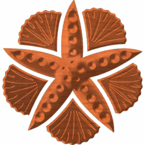 Starfish&Shells