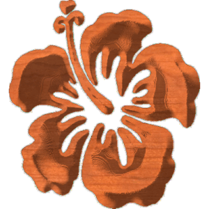 Hibiscus-02