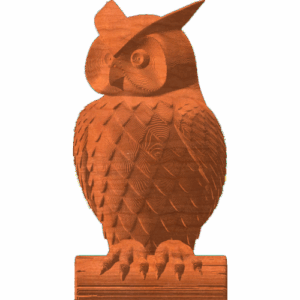 Owl on log