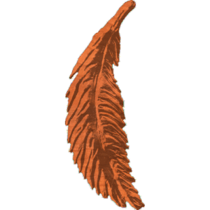Feather 1 Oc1