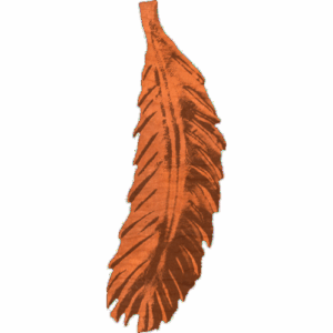Feather 2 OC1