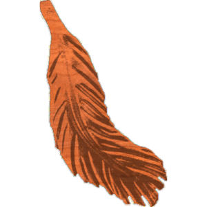 Feather 3 OC1