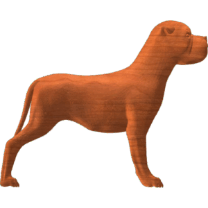Alert Dog