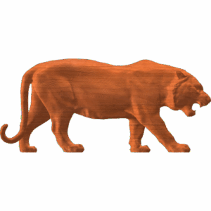 Tiger Profile