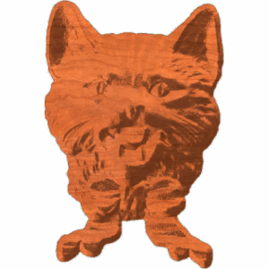Cat Bust