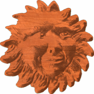 Face In Sun 2