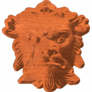 Lion Face