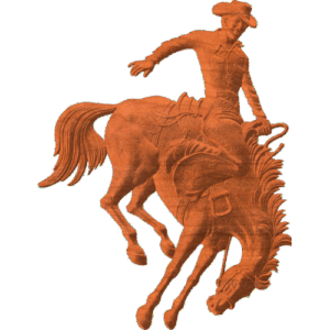 Bucking Bronco