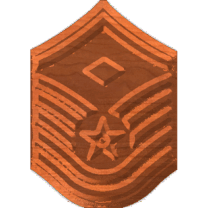 MSgt1stSgt