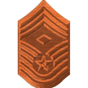CMSgt1stSgt