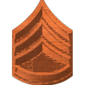 ArmySSgt