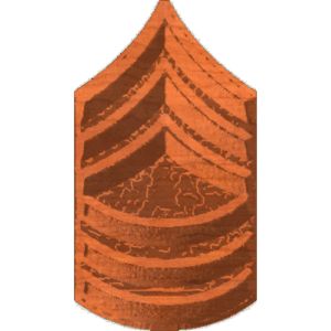 ArmyMsgt