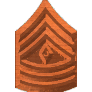 Army1stSgt