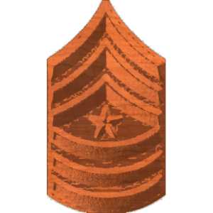 ArmySgtMaj