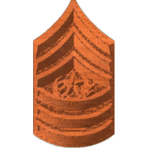 ArmyCSgtMaj