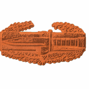 Combat Action Badge