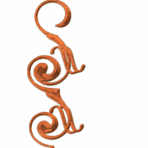 drp1