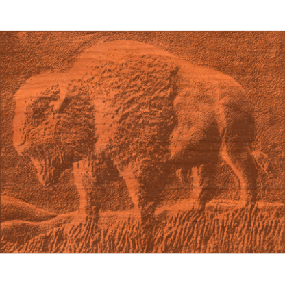 Buffalo Scene