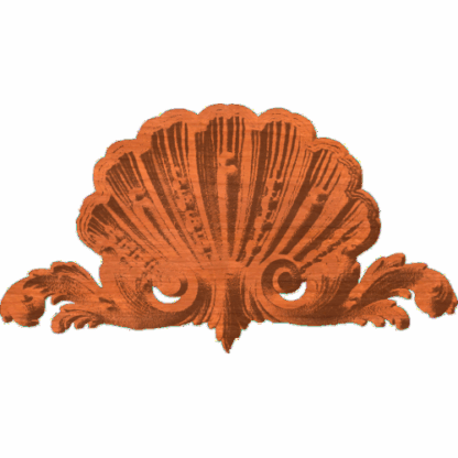 Shell 015