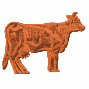 Cow01