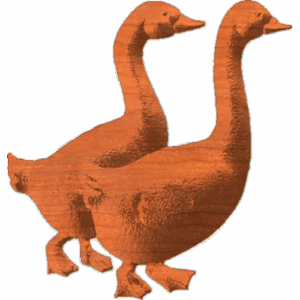 Ducks 245