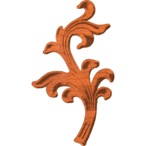 Scroll-CL