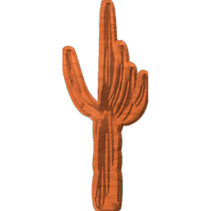 Cactus Plant01