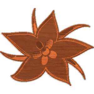 Flower 1