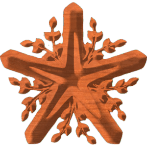 My Favorite Star