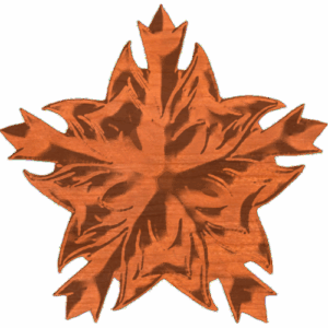 Star Bright