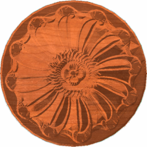 Rosette11