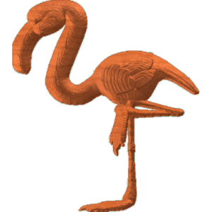Flamingo01