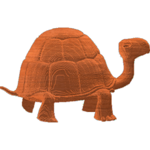 Turtle 01
