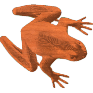 Frog01