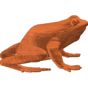 Frog02