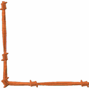 Barbed Wire Corner