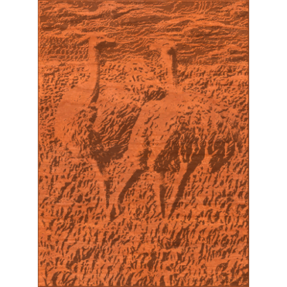 Two Ostriches