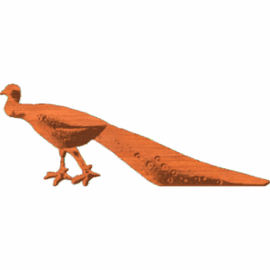 Quail 150 - CL