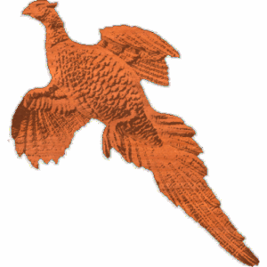FlyingPhesant