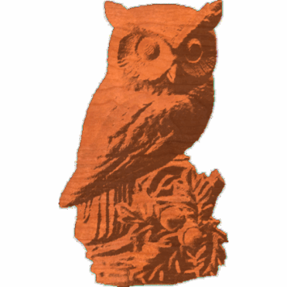 OwlOnAccornBranch