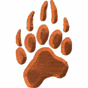 BearTrack01